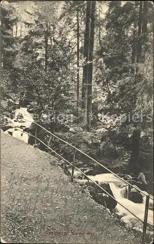 Ilsenburg Harz Bremer Weg Kat. Ilsenburg Harz