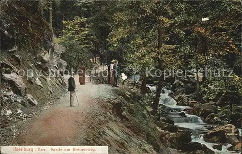 Ilsenburg Harz Bremer Weg Kat. Ilsenburg Harz