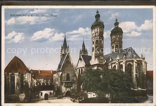 Naumburg Saale Dom  Kat. Naumburg