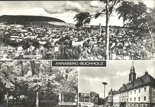 Annaberg Buchholz Erzgebirge Rathaus Wunderlinde  Kat. Annaberg
