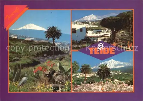 Tenerife El Teide Drago Milenario Kat. Islas Canarias Spanien