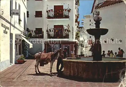 Marbella Andalucia Esel am Brunnen Kat. Marbella