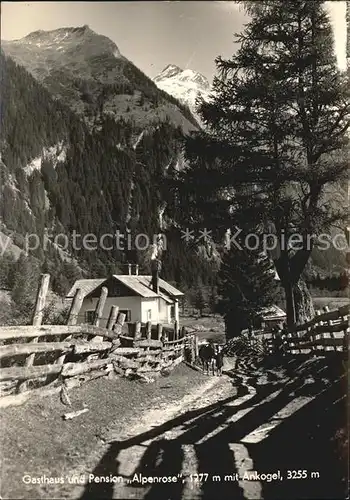 Mallnitz Kaernten Gasthaus Alpenrose Ankogel