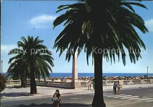 San Benedetto del Tronto Spiaggia e Palme Strand Palmen Kat. San Benedetto Del Tronto