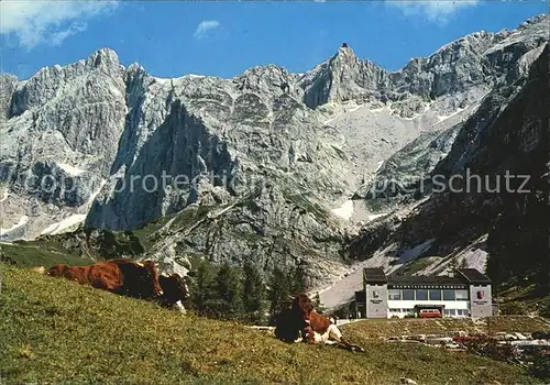 Ramsau Dachstein Steiermark Dachstein Suedwandbahn Kat. Ramsau am Dachstein