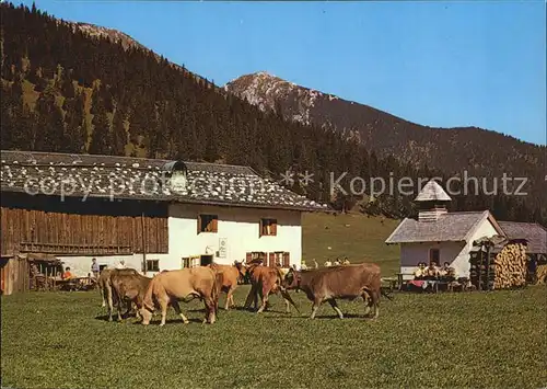 Partenkirchen Esterbergalm Kapellchen Kat. Garmisch Partenkirchen