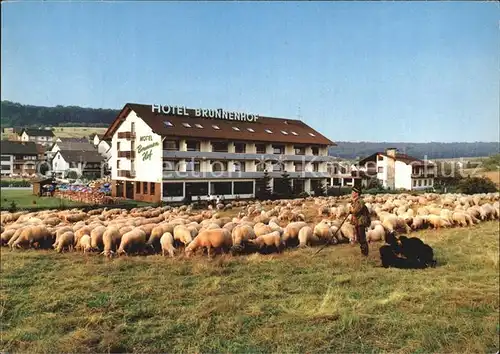 Weibersbrunn Hotel Brunnenhof Schafherde Kat. Weibersbrunn