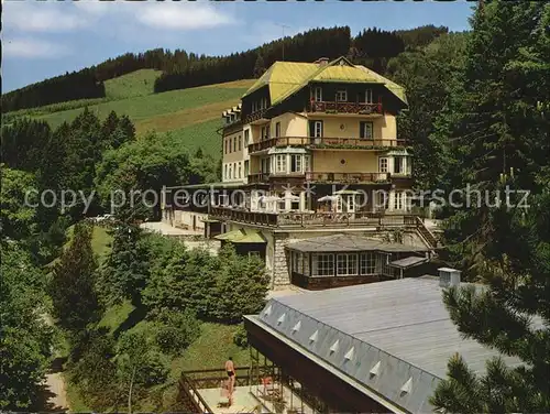 Goesing Alpenhotel  Kat. Puchenstuben Mariazellerbahn