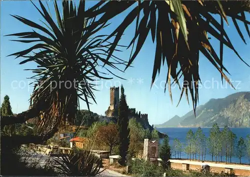 Malcesine Lago di Garda Castello fra i Palmizi Schloss unter Palmen Gardasee Kat. Malcesine