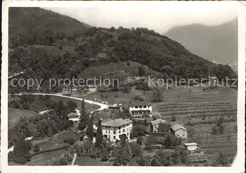 Bosco Villa Margherita  Kat. Bosco