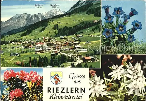 Riezlern Kleinwalsertal Vorarlberg Gesamtansicht Kat. Mittelberg