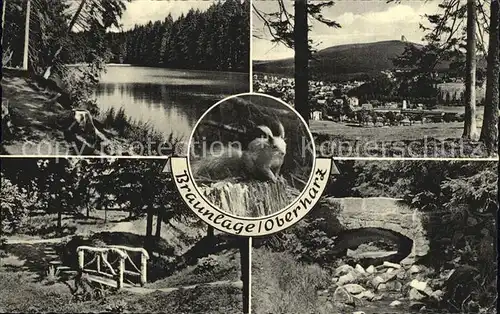 Braunlage See Panorama Steg Steinerne Bruecke Eichhoernchen Kat. Braunlage Harz