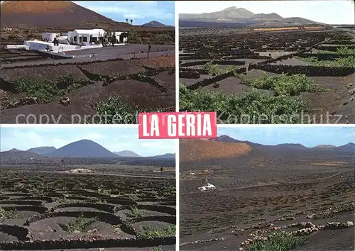 Lanzarote Kanarische Inseln La Geria