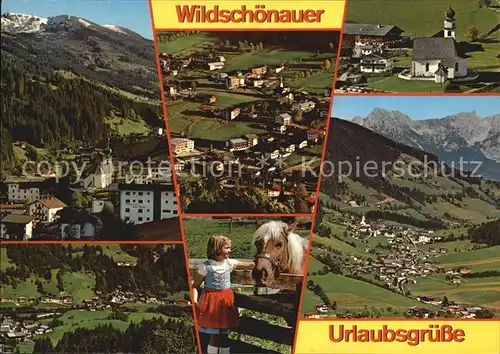 Wildschoenau Tirol und Umgebung Alpenblick Maedchen Haflinger / Kufstein /Tiroler Unterland