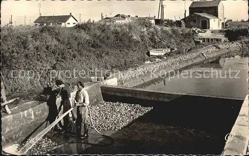 Marennes Charente Maritime Lavage des Huitres Kat. Marennes