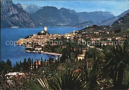 Malcesine Lago di Garda Gesamtansicht Kat. Malcesine