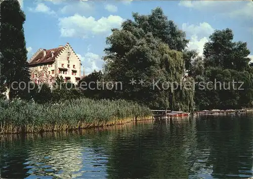 Greifensee Partie am See Kat. Greifensee