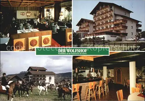 Wolfshagen Harz Der Wolfshof Hotel Kat. Langelsheim