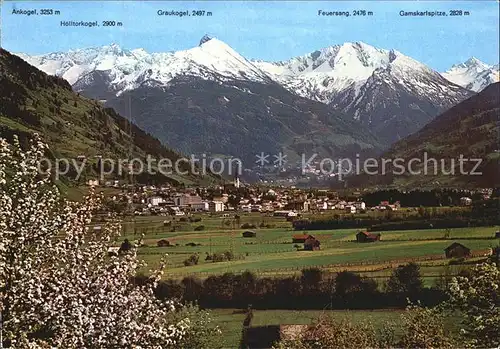 Bad Hofgastein Panorama mit Hohen Tauern Baumbluete Kat. Bad Hofgastein