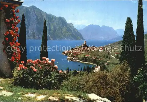 Malcesine Lago di Garda Blick auf den See Kat. Malcesine