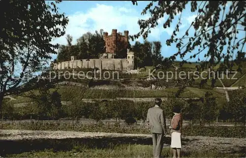 Offenburg Schloss Ortenberg Kat. Offenburg