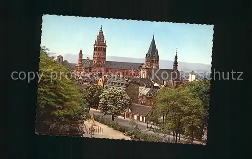 Mainz Rhein Dom