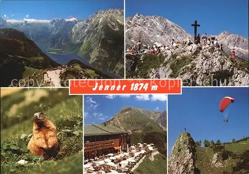 Jenner Berchtesgaden Bergkreuz Murmeltier  Kat. Berchtesgaden