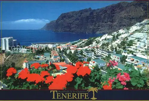 Tenerife Acantilado de los Gigantes Kat. Islas Canarias Spanien