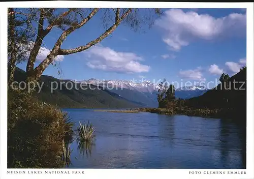 Nelson New Zealand Nelson Lakes National Park Kat. Nelson