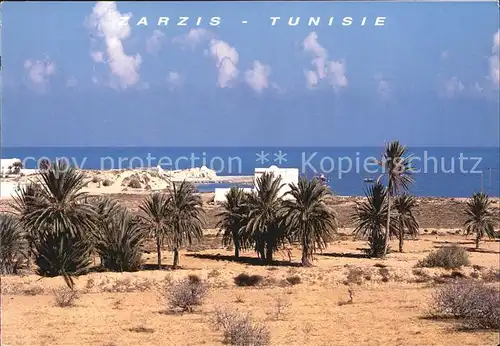 Zarzis  Kat. Tunesien