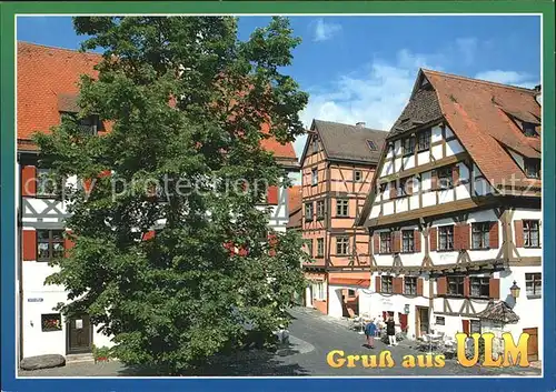 Ulm Donau Am Fischerplaetzle Kat. Ulm