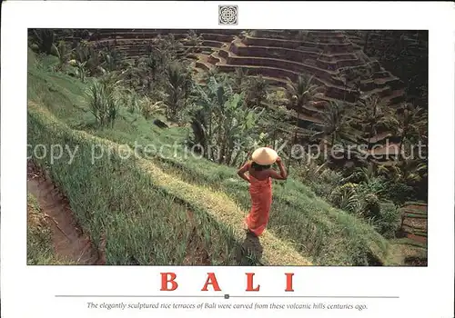 Bali Indonesien Rice terraces of Bali were carved from these volcanic hills centuries ago Kat. Bali