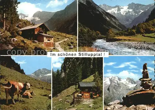 Stillupptal Gruene Wand Huette Stillupp Kasselerspitze Keilbachspitze Taxachalm Lapenschartenweg Wollbachspitze Alm Kuehe Felsen Kat. Zillertal