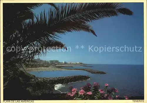 Playa de las Americas Panorama Kat. Arona Tenerife Islas Canarias