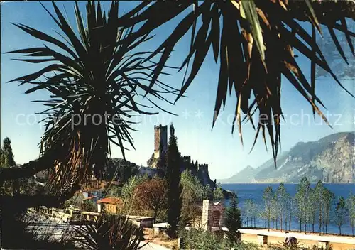 Malcesine Lago di Garda Il Castello fra i Palmizi Kat. Malcesine