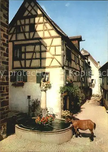 Riquewihr Haut Rhin Fontaine et maisons alsaciennes Pferd Kat. Riquewihr