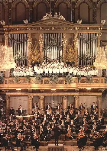 Wien Grosser Saal des Wiener Musikvereins Kat. Wien