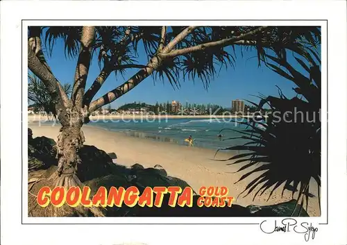 Gold Coast Australia Coolangatta Kat. Gold Coast