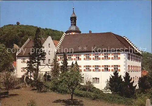 Waldshut Tiengen Schloss