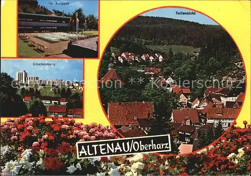 Altenau Harz Kurpark Glockenberg Teilansicht Kat. Altenau