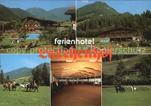 Erpfendorf Ferienhotel Laerchenhof Freibad Fitnesscenter Reiten Reithalle Kat. Kirchdorf in Tirol