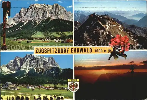 Ehrwald Tirol Panorama Zugspitzdorf Wegekreuz Wettersteingebirge Sonnenuntergang Alpen Schafe / Ehrwald /