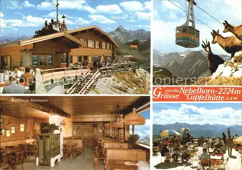 Oberstdorf Nebelhorn Gipfelhuette Bergrestaurant Bergbahn Gemsen Allgaeuer Alpen Kat. Oberstdorf