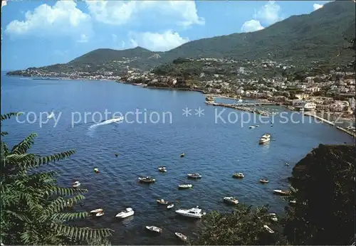 Isola d Ischia Lacco Ameno Panorama da Montevico Kat. Golfo di Napoli