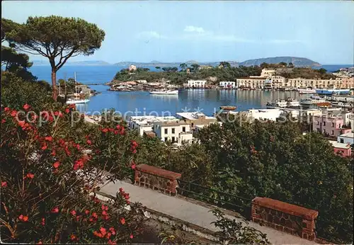 Isola d Ischia Panorama Kat. Golfo di Napoli