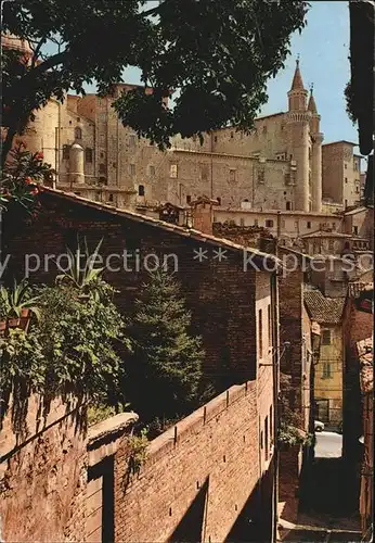 Urbino Torricini dalle scalette San Giovanni Kat. Italien