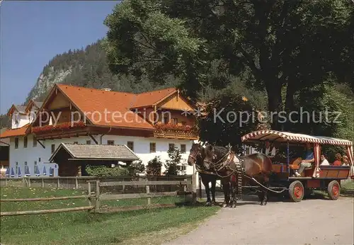 Pinswang Tirol Schlurenhof Planwagen Pferde Kat. Pinswang