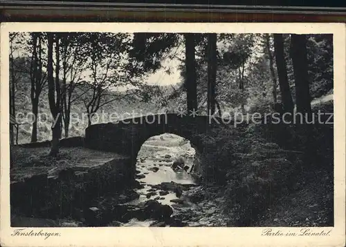 Finsterbergen Partie im Leinatal Kat. Finsterbergen Thueringer Wald