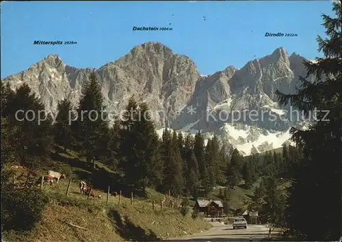 Filzmoos Hoehenstrasse zum Dachstein Kat. Filzmoos