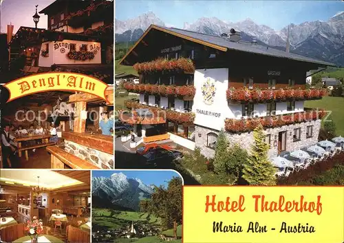 Maria Alm Steinernen Meer Hotel Restaurant Thalerhof Alpen Dengl Alm Kat. Maria Alm am Steinernen Meer